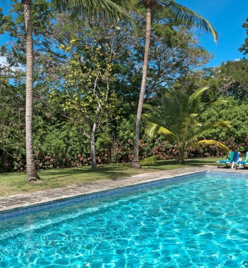 Sandy Lane – Evergreen