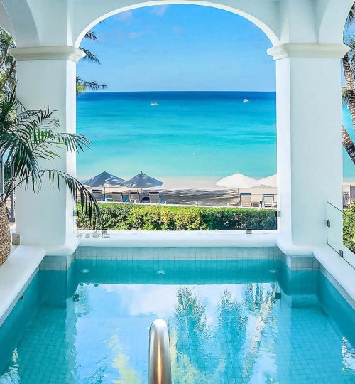 Old Trees No. 104 – Sunset