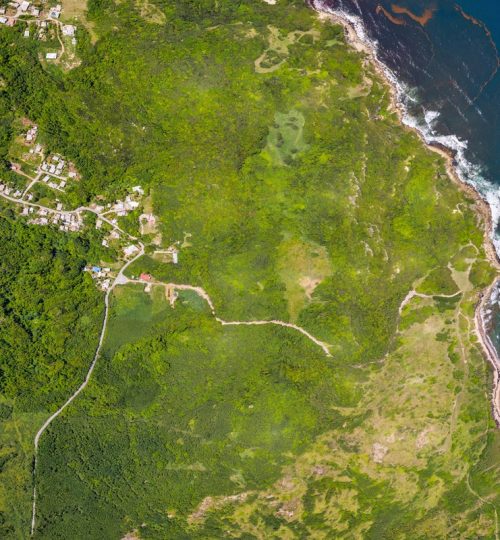 Boscobelle Plantation