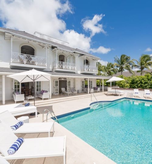 Calijanda Estate – Purple Haze