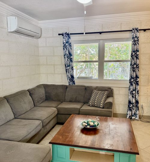 Golden Acre D13 – Bella Luna