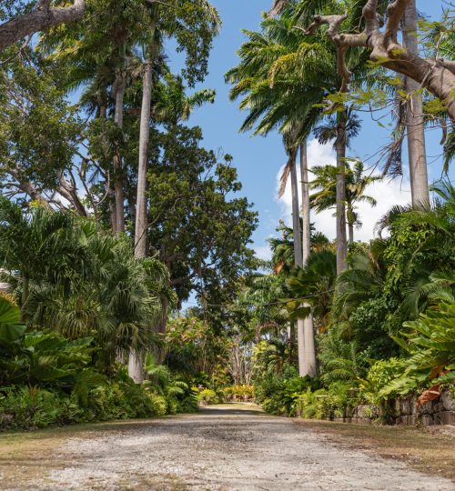 Lancaster Great House