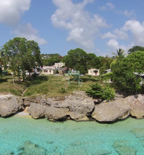 The Garden – Monkey Bay