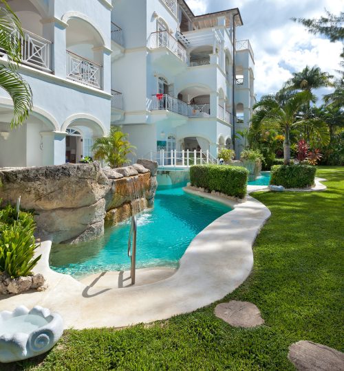 Old Trees No. 3 – Sundance