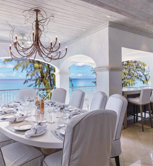 Old Trees No. 6 – Firefly