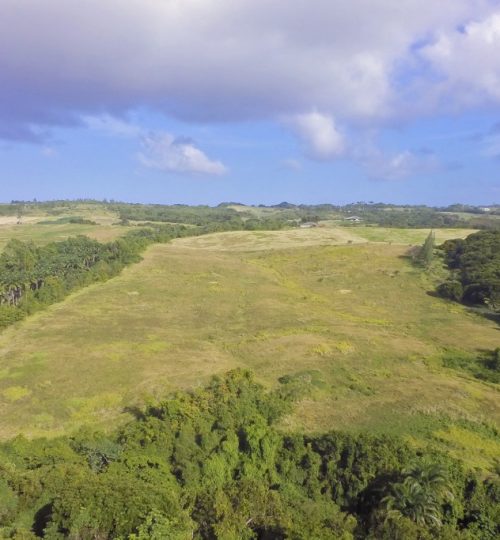 Sion Hill – Gully Ridge