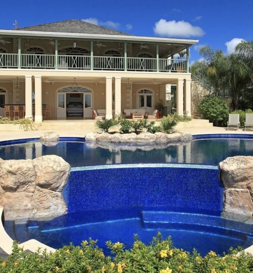 Sugar Hill – Bananaquit