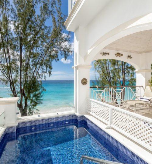 Old Trees No. 201 – Hallidays